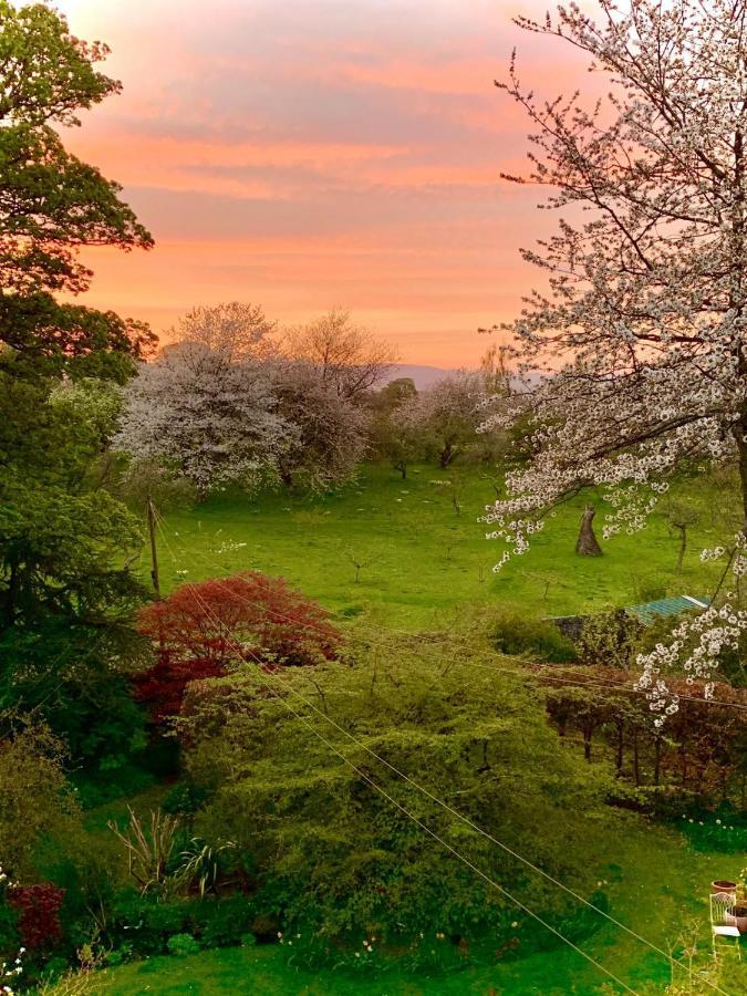 The Studio At Maspie House Falkland Luaran gambar