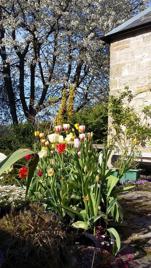 The Studio At Maspie House Falkland Luaran gambar